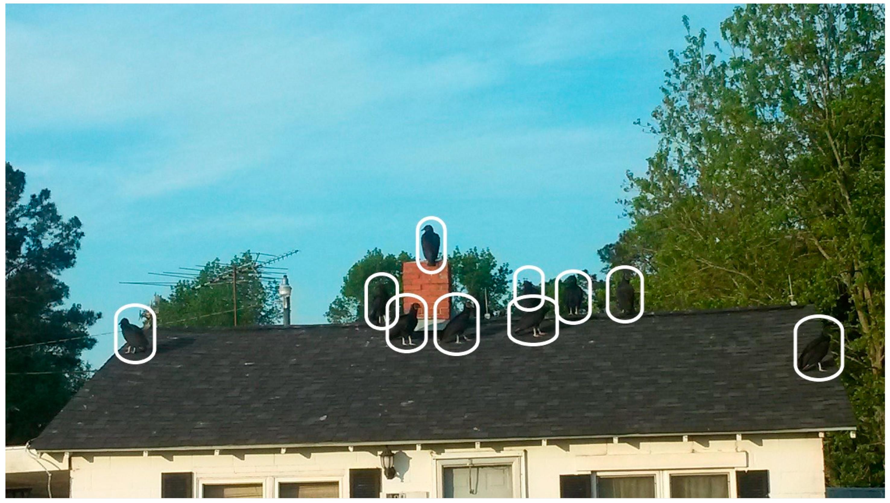 IJERPH | Free Full-Text | Photovoice Reveals Residents&rsquo ...