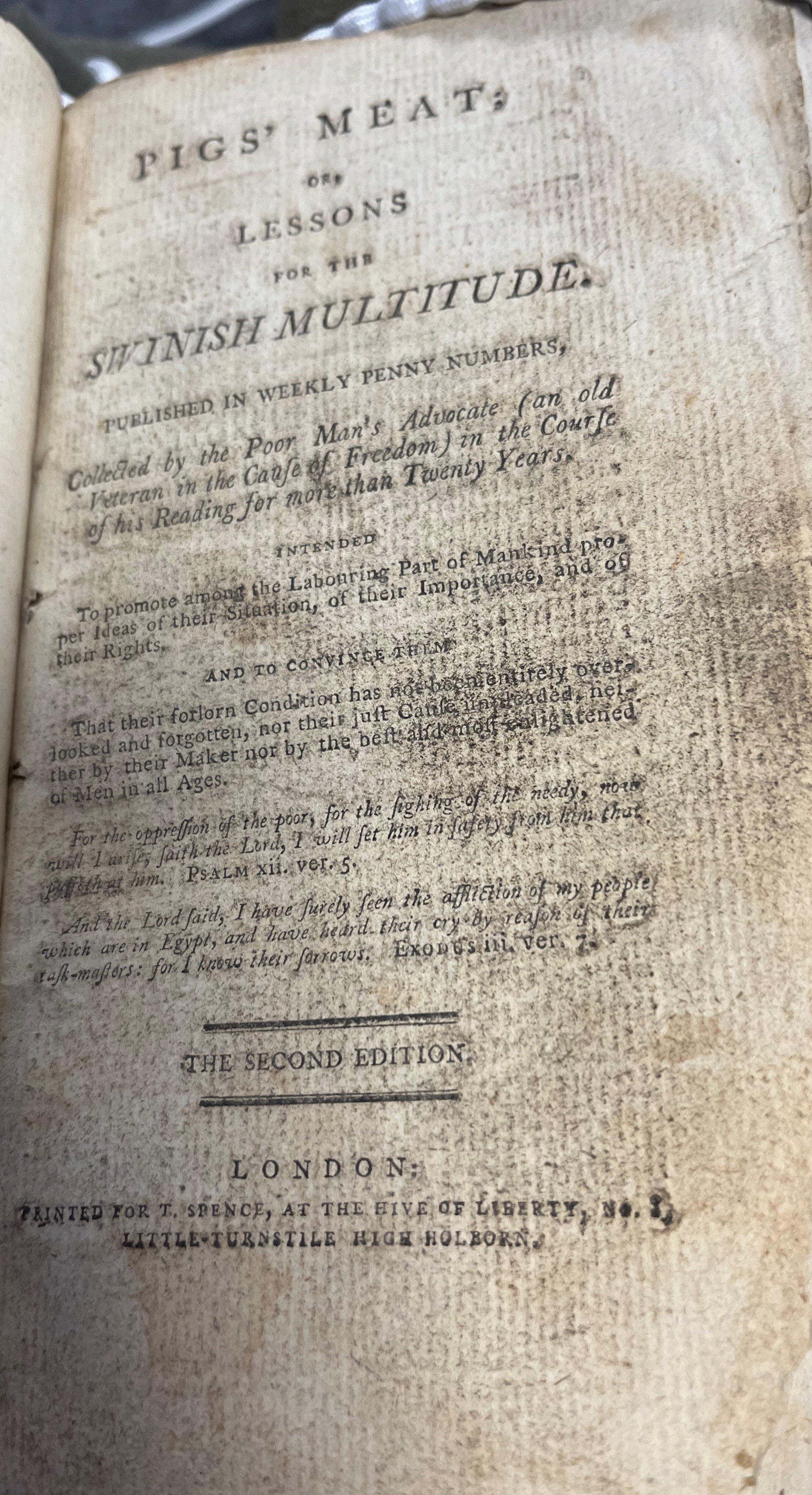 Rachel Hammersley's Blog — Rachel Hammersley