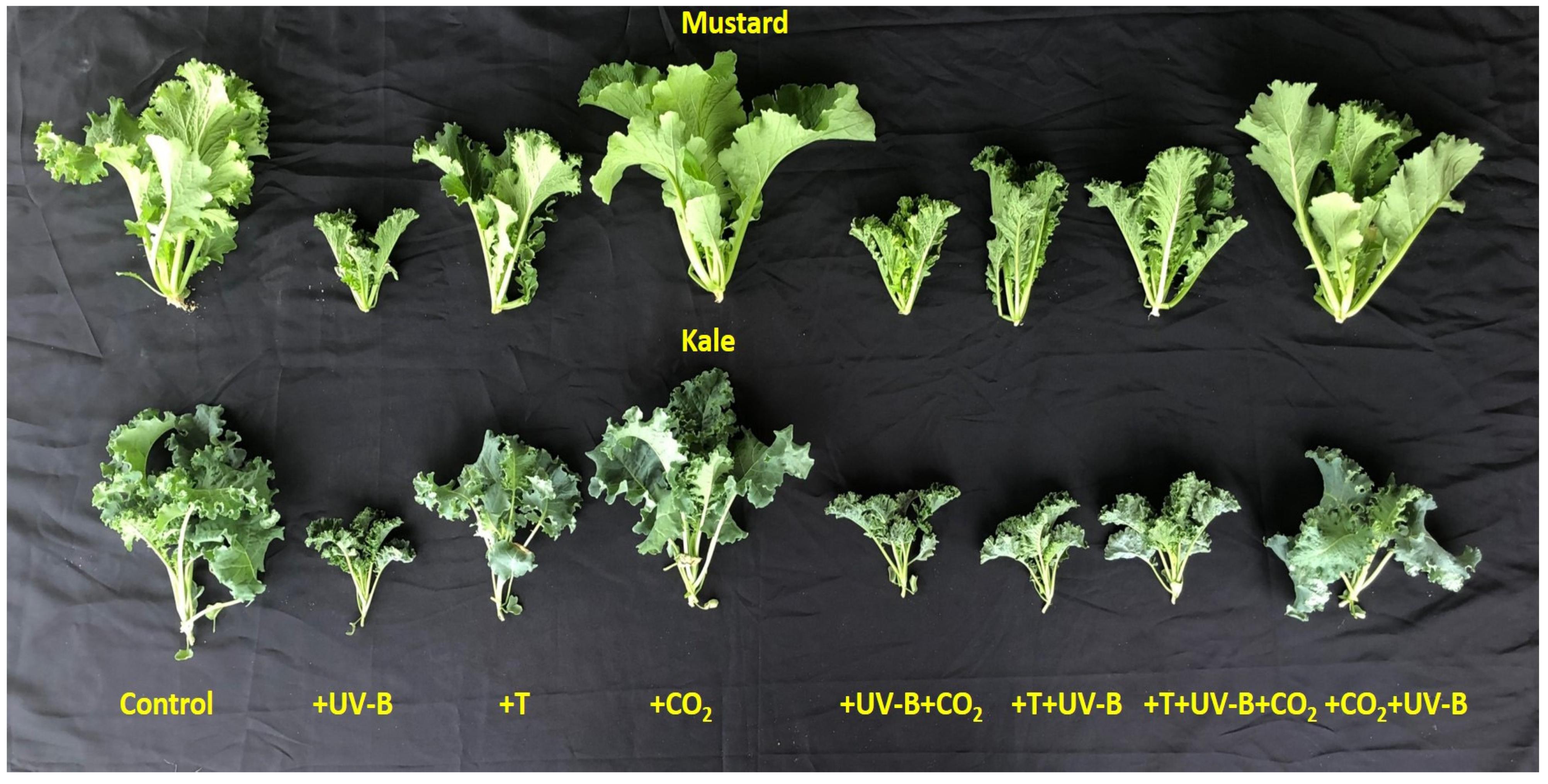 Agriculture | Free Full-Text | Individual and Interactive Effects ...