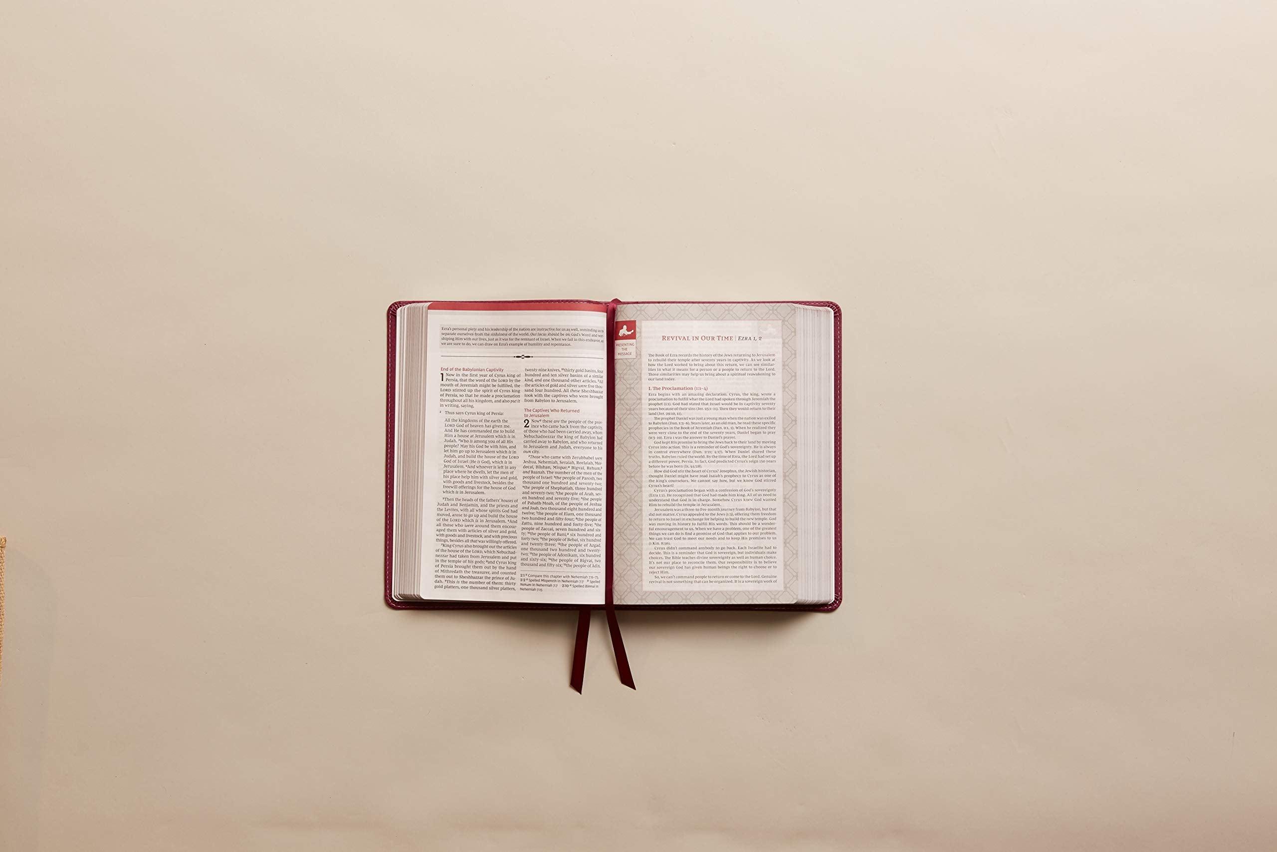 NKJV, Vines Expository Bible, Comfort Print: A Guided Journey ...