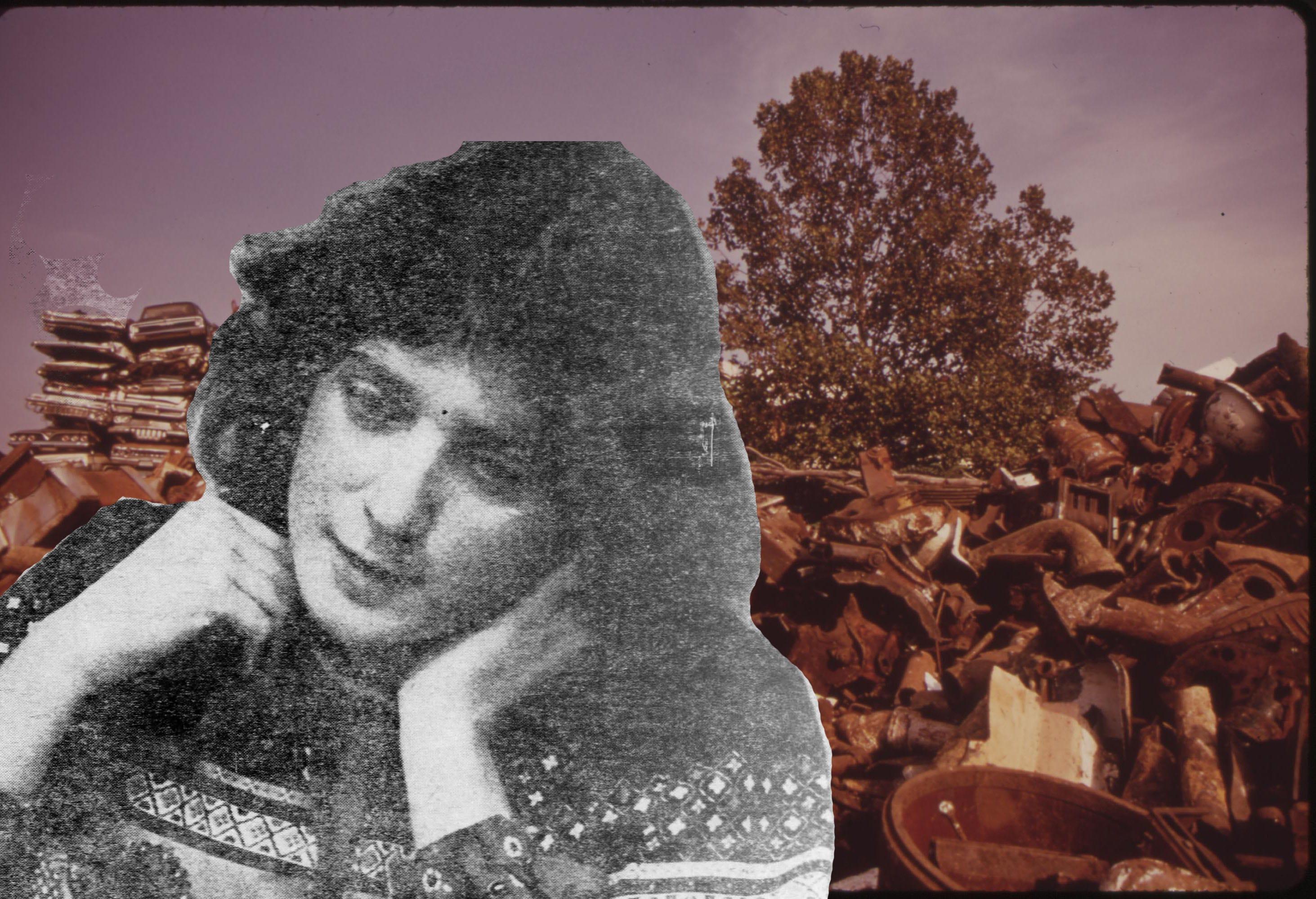 Homesteading through the apocalypse - by Stefene Russell