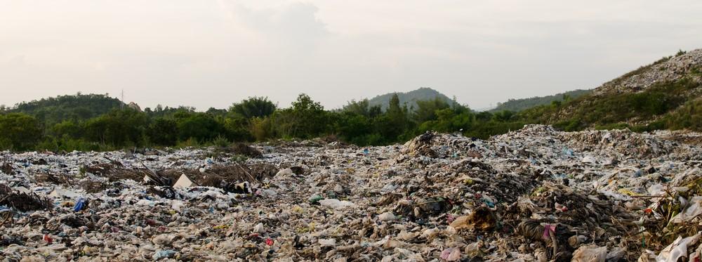 <b>Land</b> Pollution: Causes, <b>Effects</b>, and Prevention | TDS