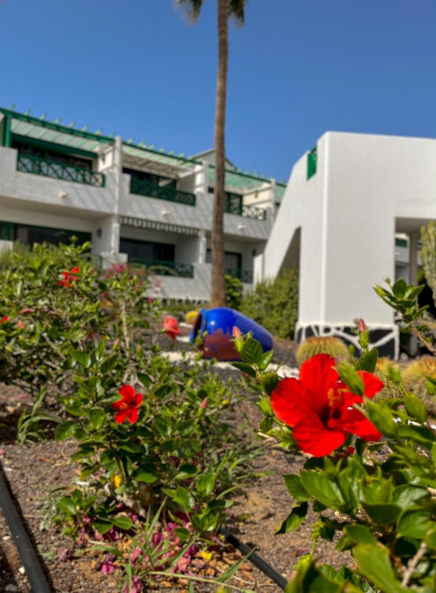 One-Bedroom Apartment,1544720899:JPEG