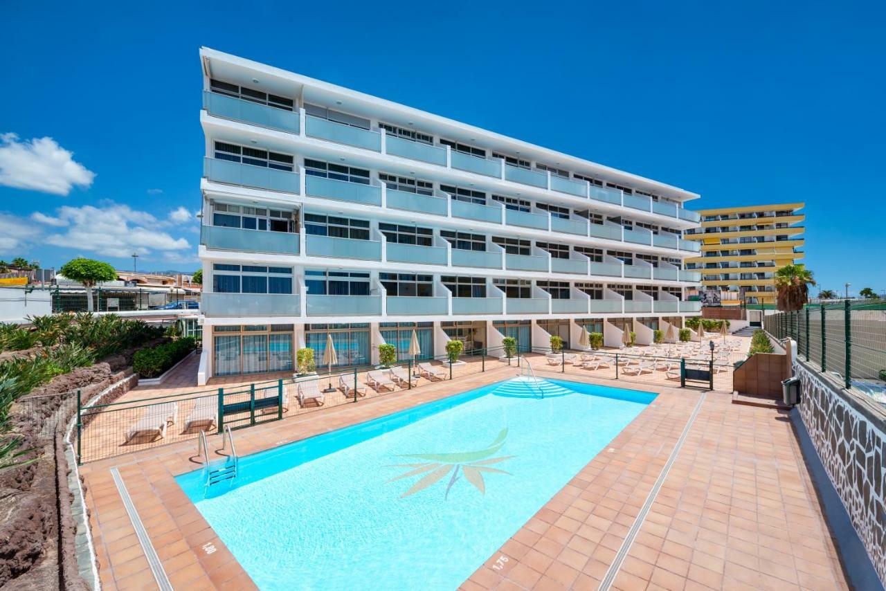 One Bedroom Apartment Pool View