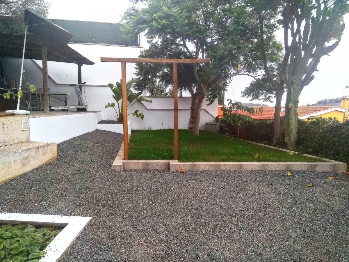 Apartment Garden View