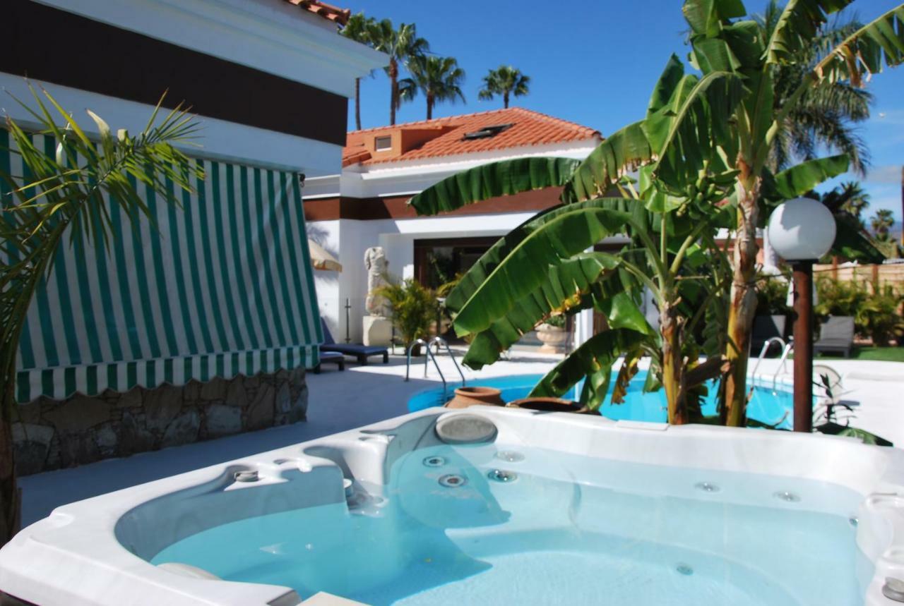 Penthouse Apartment,910971808:JPEG