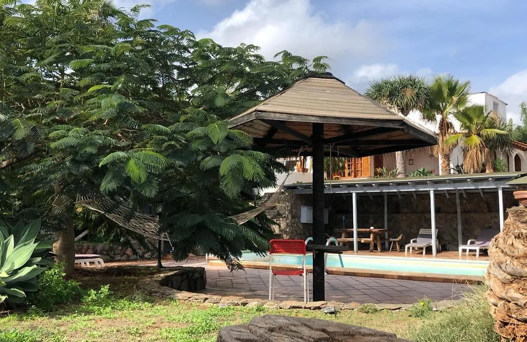 Palmeras-1