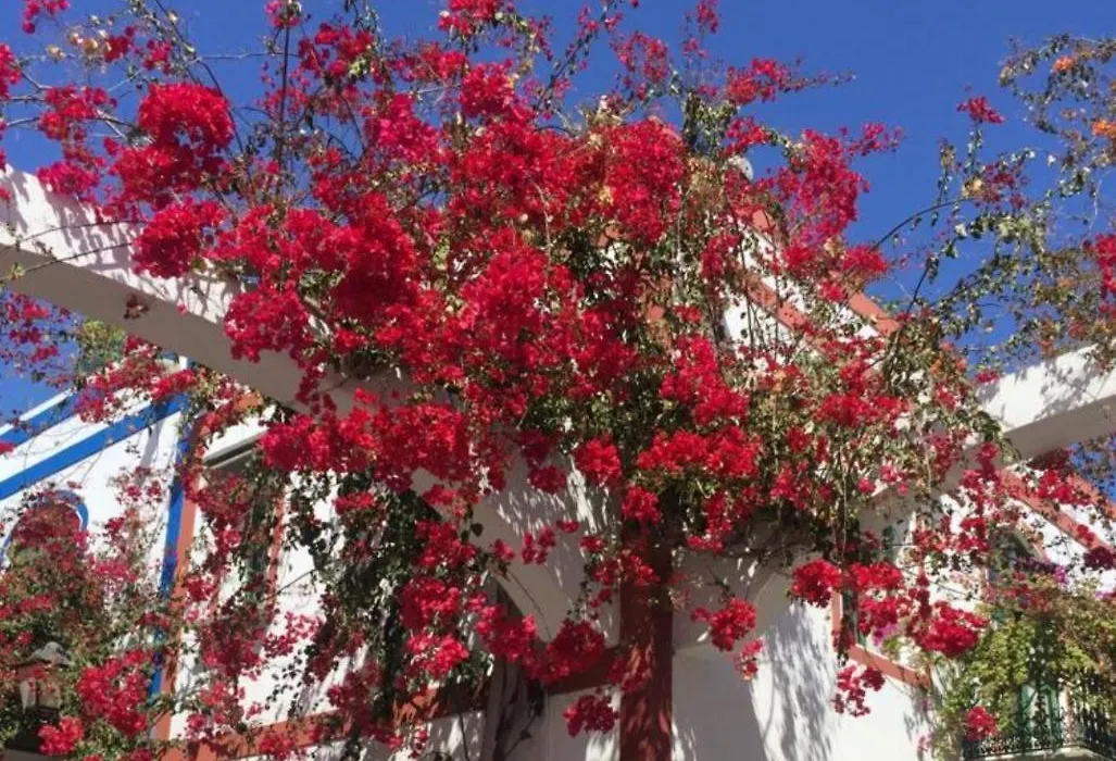 Charming 1 Bedroom Apartment In Puerto De Mogn-1