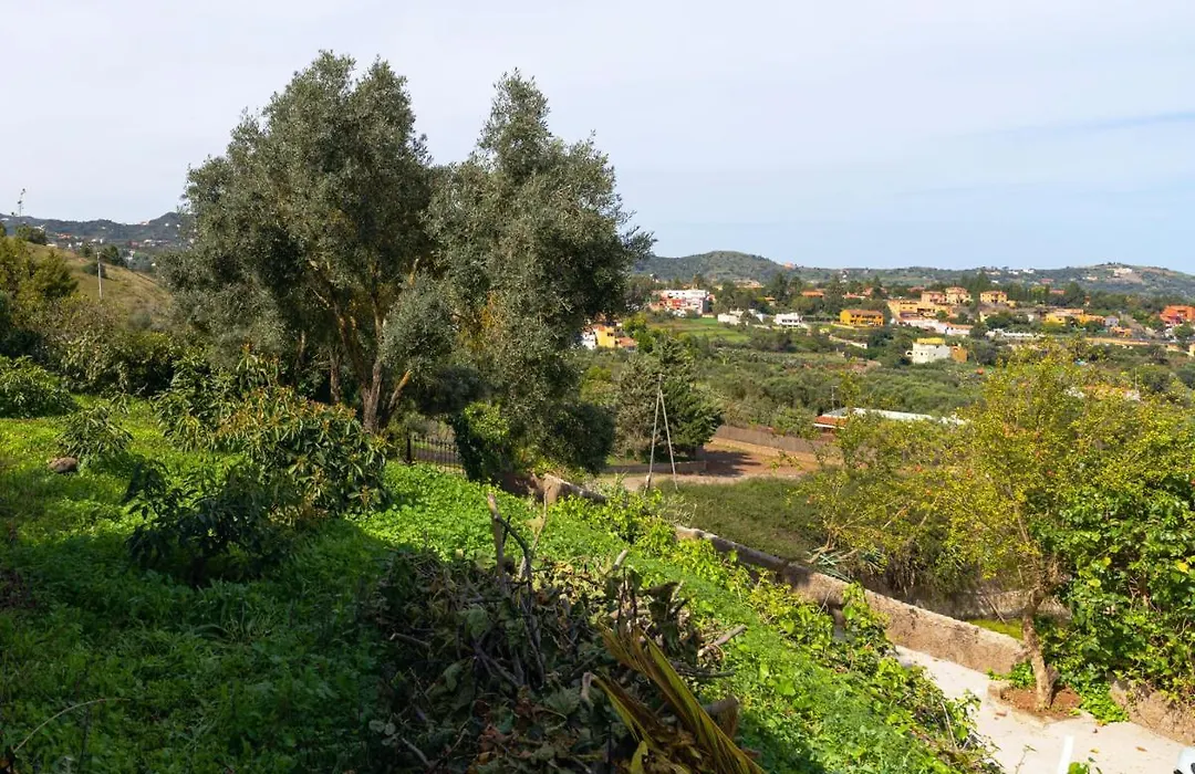 Live Finca El Gamonal Bajo Con Piscina Y Jardin En La Naturaleza-1