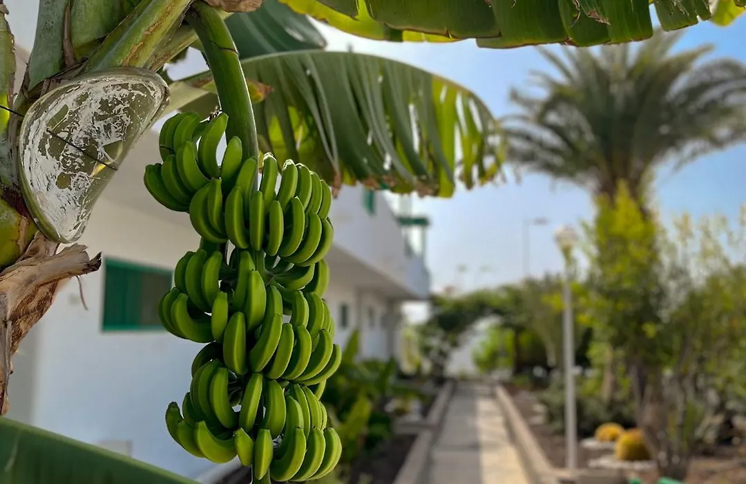 Beautiful Apartment Aguycan Beach 120 Playa Del Aguila Maspalomas Gran Canaria-1