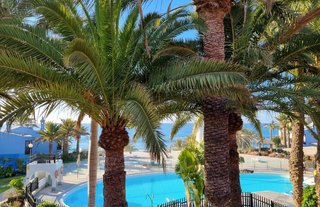 Top 2 Sun Club Bungalow Terraza-1