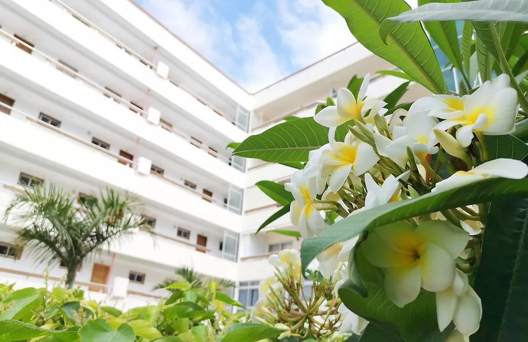 Las Camelias 215 By Pride Holiday Rentals-1