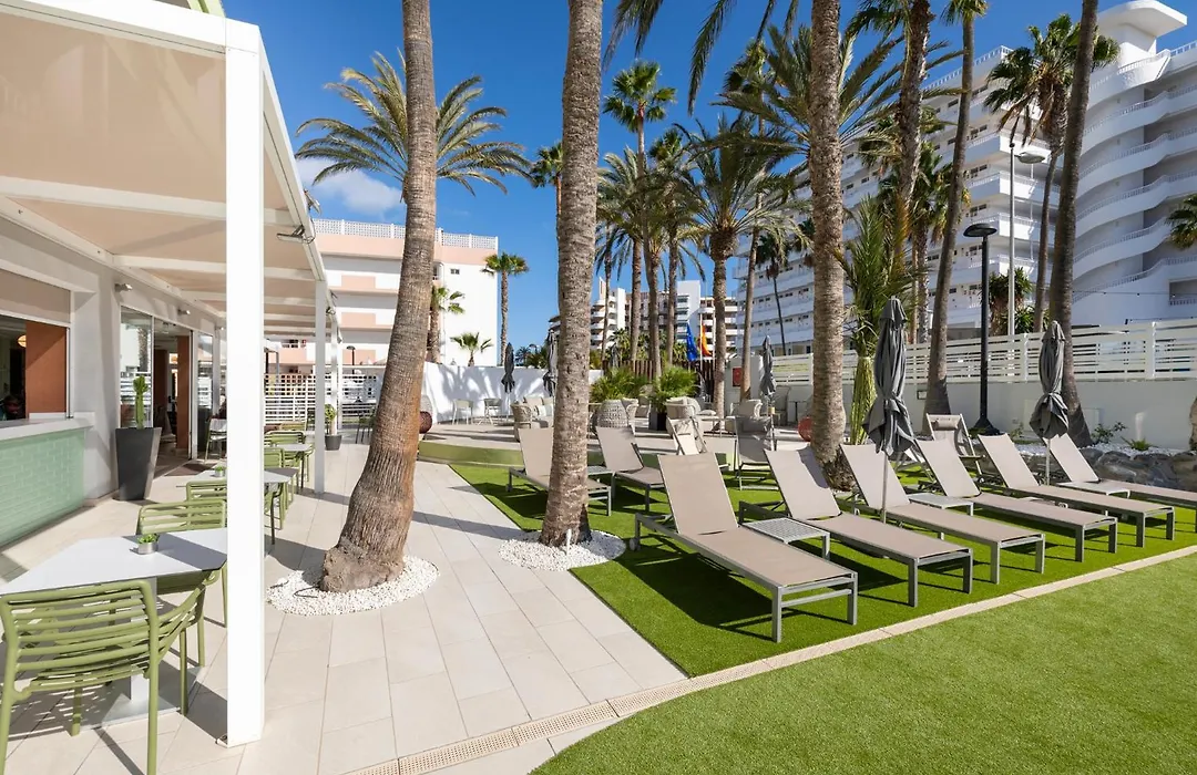 Hotel Livvo Anamar Suites-1