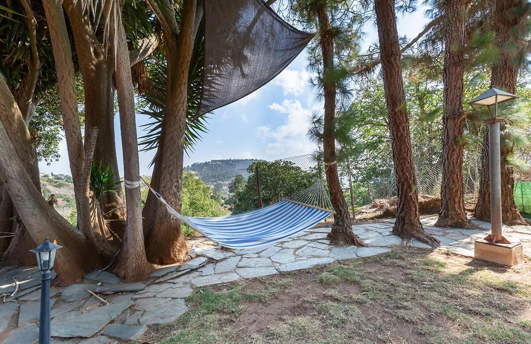 La Finca de Teror-1