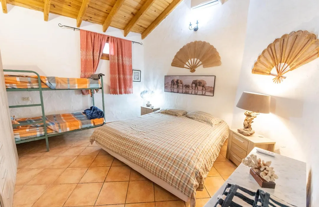 Finca Oasis Fataga-1
