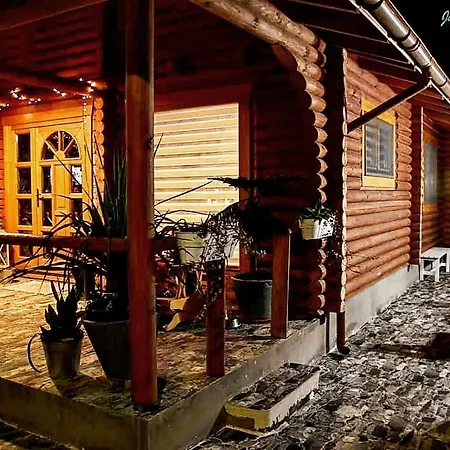 Wild House-2