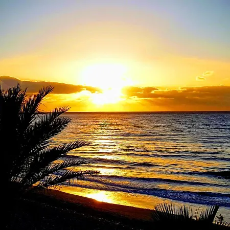 Vv Sun Club Los Pinos-2
