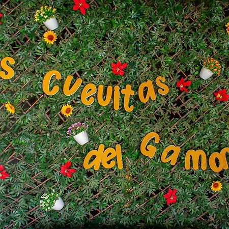 Las Cuevitas del Gamonal-2