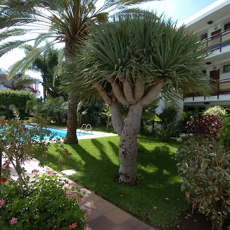 Apartment Hotel Taboga (Adults Only)-3