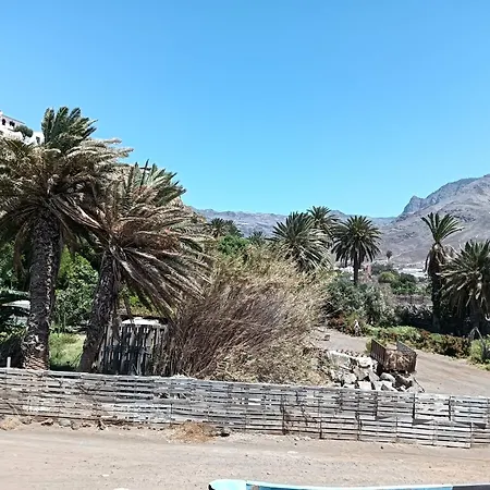 La Jacaranda-2