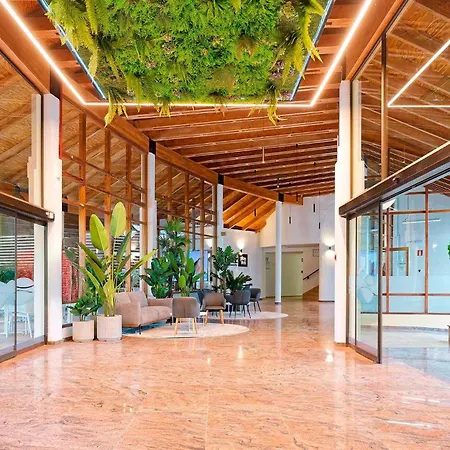 Sport Hotel Monte Feliz - Powered By Playitas-3
