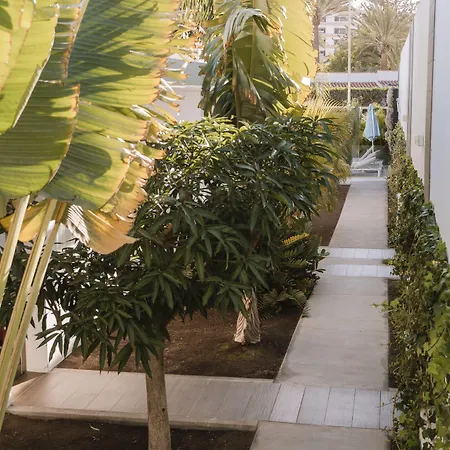 Aevum Resort-2