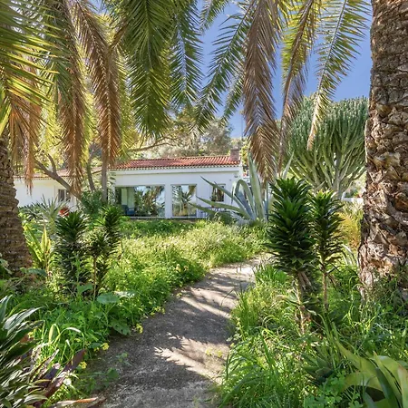 Finca El Dragonal With Private Pool-3