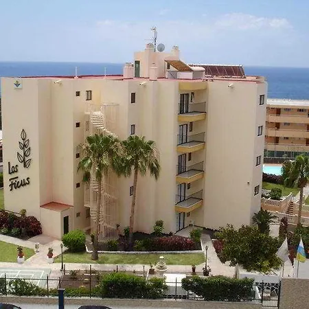 Apartamento Los Ficus Playa Del Inlges-3