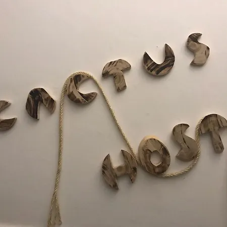 Cactus Host-2