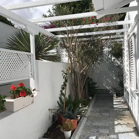 San Agustin Seaviews And Flowers-3