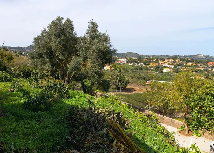 Live Finca el Gamonal Bajo Apartamento Santa Brígida