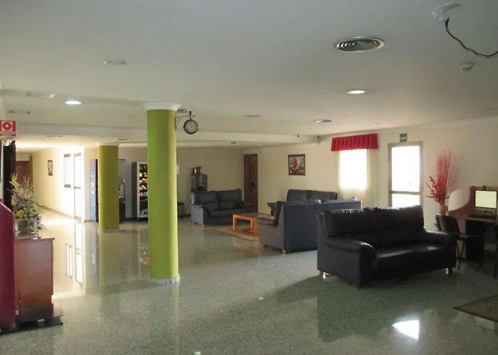 Hotel Avenida de Canarias Vecindario  admite animales