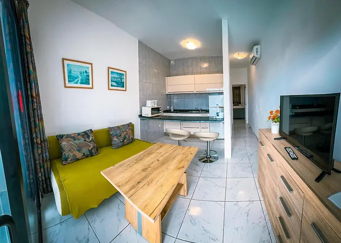 Pet friendly Aparthotel Monterrey Puerto Rico 