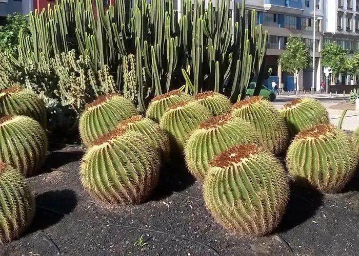 Ferienwohnung Al Golpito Las Palmas / Gran Canaria