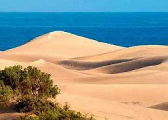 Haustierfreundliches Bungalow Dunas&Sea Maspalomas