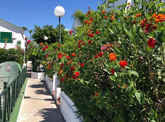 Huisdiervriedelijke Sweet apartment maspalomas
